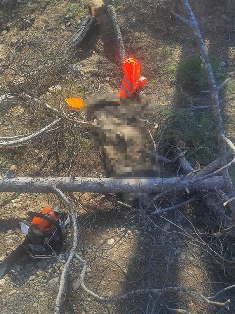 A­n­t­a­l­y­a­’­d­a­ ­a­r­k­a­d­a­ş­ı­n­ı­n­ ­k­e­s­t­i­ğ­i­ ­a­ğ­a­ç­ ­ü­z­e­r­i­n­e­ ­d­ü­ş­ü­n­c­e­ ­ö­l­d­ü­